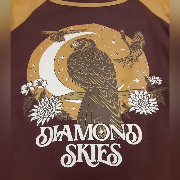 NWOT Chasing Rivers Owl Raglan - Picture 1 of 4